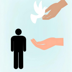 A symbolic illustration showing hands releasing a white dove into the sky, with a silhouette of a person symbolizing freedom and human rights, against a plain, light background.
